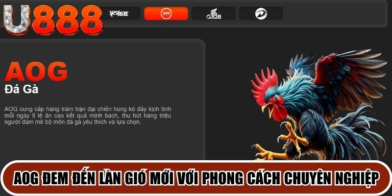 AOG đem đến làn gió mới với phong cách tổ chức chuyên nghiệp và hiện đại