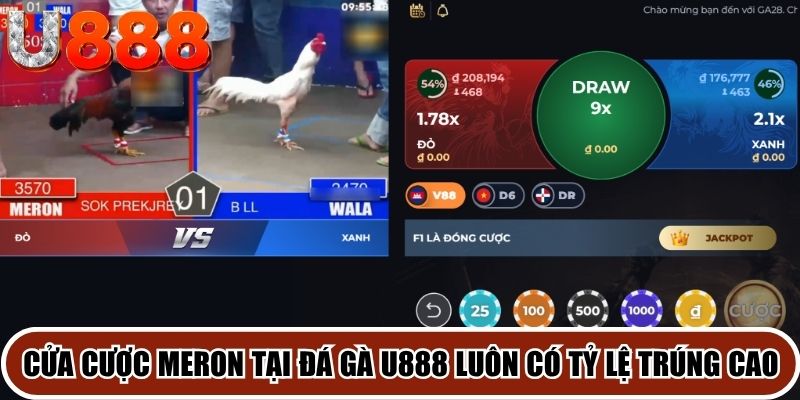 Cửa cược Meron tại đá gà U888 luôn có tỷ lệ trúng thưởng rất cao